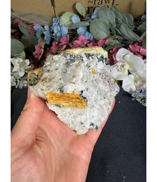 Biotite with Yellow Tourmaline Specimen #31, 348gr