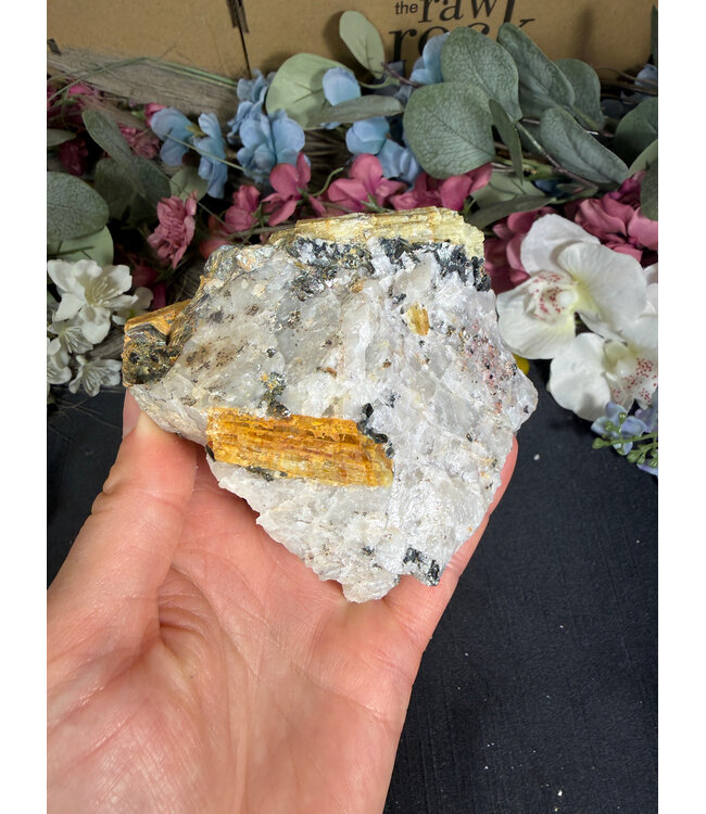 Biotite with Yellow Tourmaline Specimen #31, 348gr