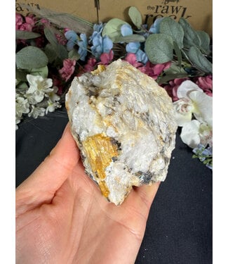 Biotite with Yellow Tourmaline Specimen #28, 430gr