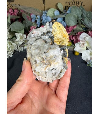 Biotite with Yellow Tourmaline Specimen #25, 326gr