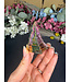 Rainbow Bismuth Tower #497, 72gr