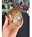 Golden Healer Skull #5, 826gr