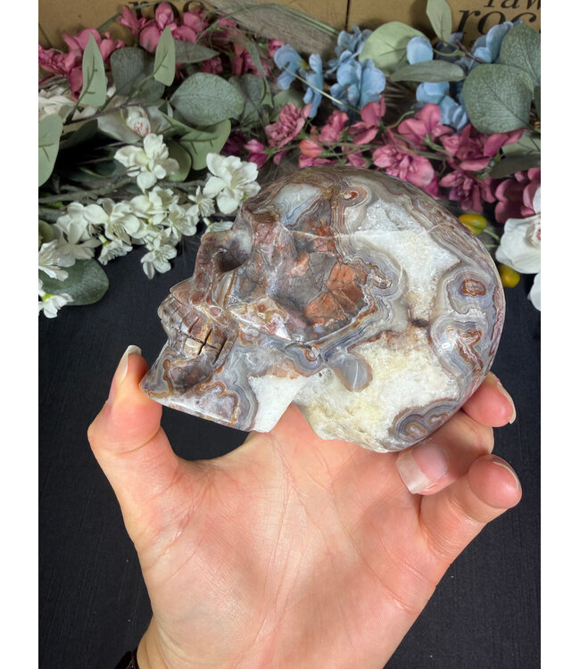 Mexican Crazy Lace Agate Skull #5, 738gr