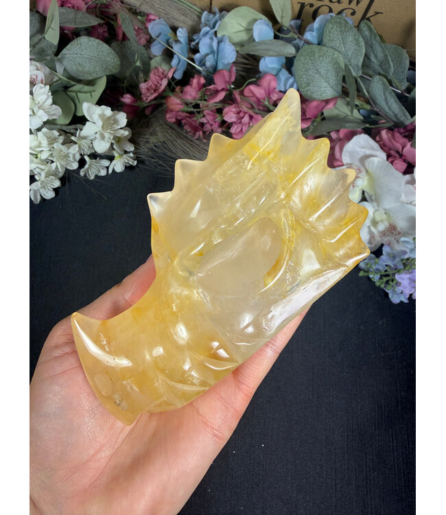Golden Healer Dragon Head #1, 588gr