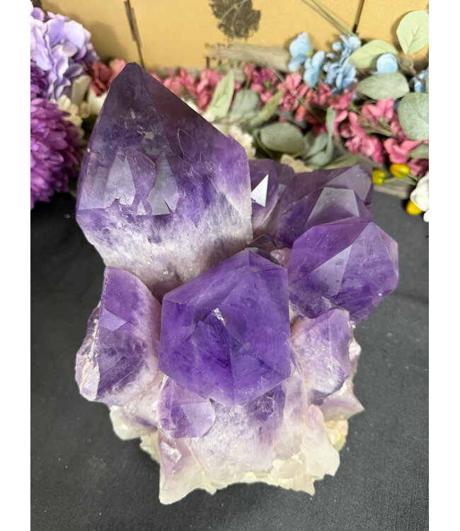 Statement Amethyst Cluster #1, 11.76kg
