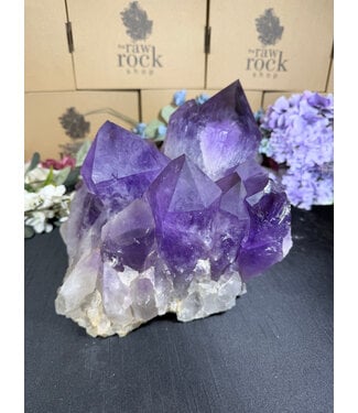 Statement Amethyst Cluster #1, 11.76kg