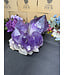 Statement Amethyst Cluster #1, 11.76kg