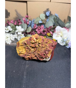 Rough Mookaite Jasper #15, 830gr