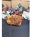 Rough Mookaite Jasper #15, 830gr