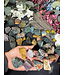 Rough Ocean Jasper Size Small 500gr Bulk Pack