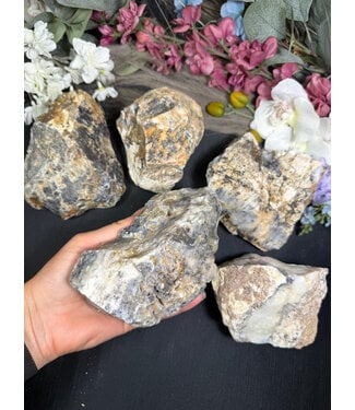 Rough Dendritic Chalcedony Size 8 [700-799gr]