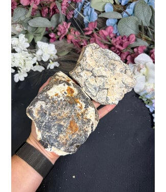 Rough Dendritic Chalcedony Size 7 [600-699gr]