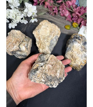 Rough Dendritic Chalcedony Size 6 [500-599gr]