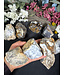 Rough Dendritic Chalcedony Size 3 [200-299gr]