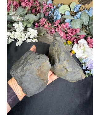Rough Shungite Size 7 [600-699gr]