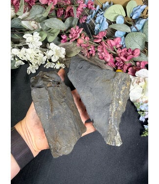 Rough Shungite Size 6 [500-599gr]