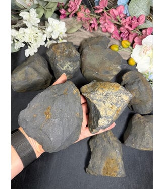 Rough Shungite Size 5 [400-499gr]