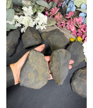 Rough Shungite Size 4 [300-399gr]