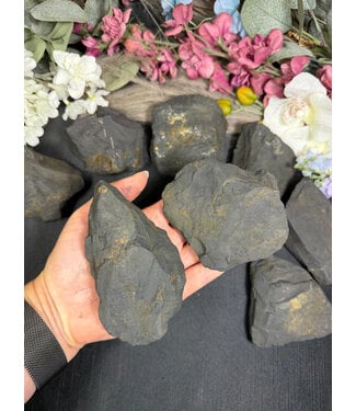 Rough Shungite Size 3 [200-299gr]