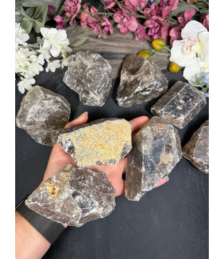 Rough Smoky Quartz Size 4 [300-399gr]