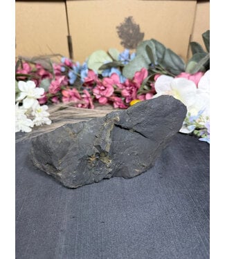 Rough Shungite #19, 806gr