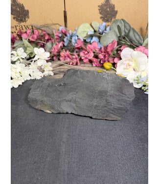 Rough Shungite #17, 1194gr