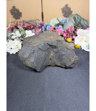 Rough Shungite #14, 1264gr
