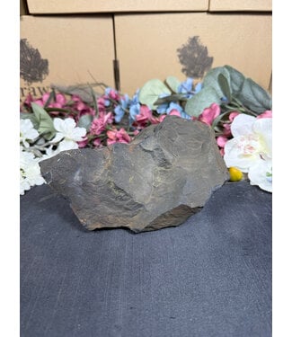 Rough Shungite #13, 884gr