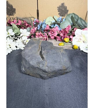 Rough Shungite #9, 820gr