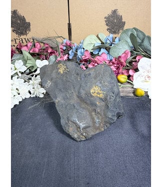 Rough Shungite #7, 834gr