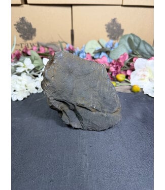 Rough Shungite #5, 988gr