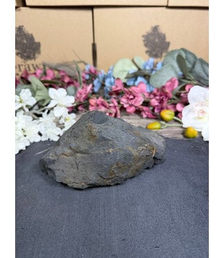 Rough Shungite #3, 916gr