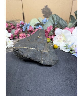 Rough Shungite #4, 874gr
