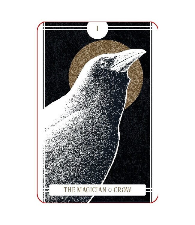 The Avian Tarot