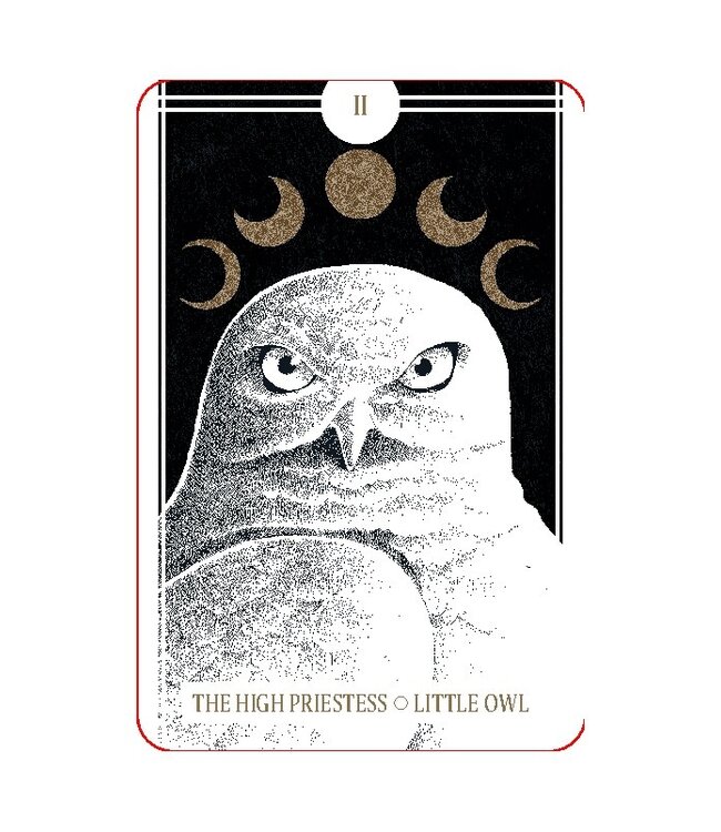 The Avian Tarot