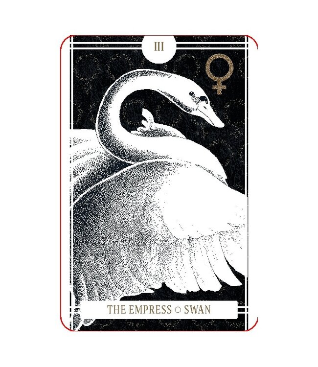 The Avian Tarot