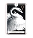 The Avian Tarot