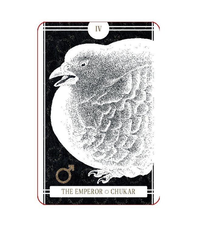 The Avian Tarot