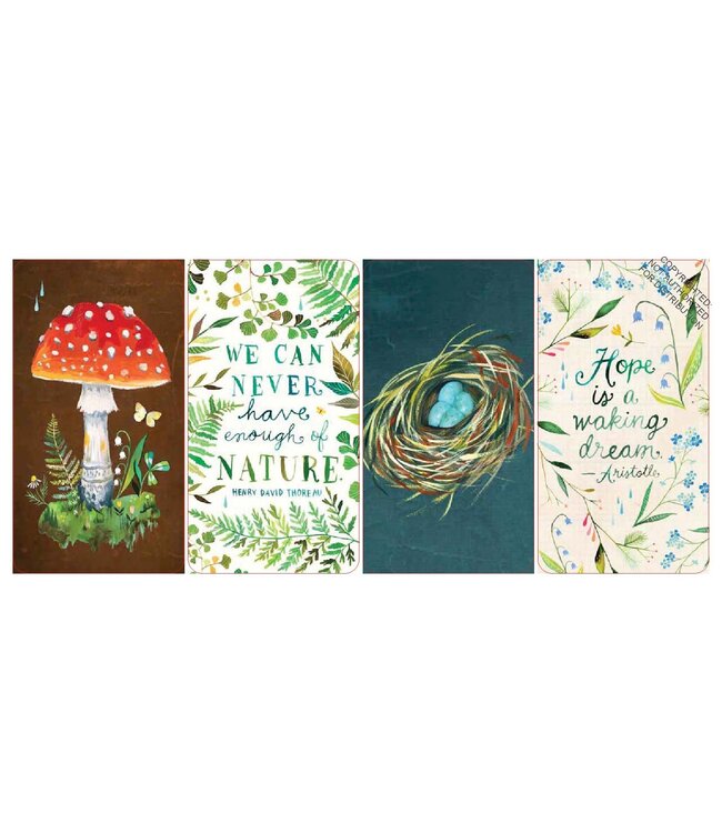 How to be a Wildflower Deck