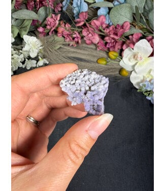 Grape Agate #559, 14gr