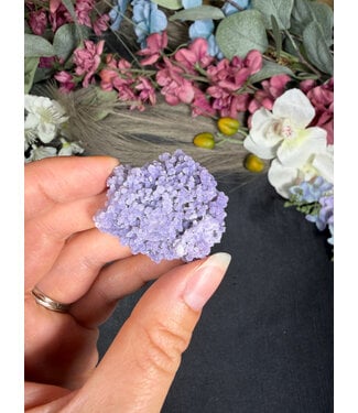 Grape Agate #557, 18gr