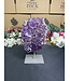 Amethyst on Metal Stand #26, 810gr