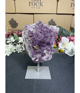 Amethyst on Metal Stand #29, 784gr