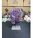 Amethyst on Metal Stand #26, 810gr