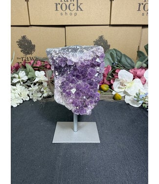 Amethyst on Metal Stand #22, 618gr