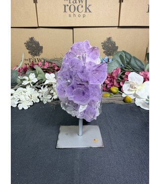 Amethyst on Metal Stand #6, 704gr