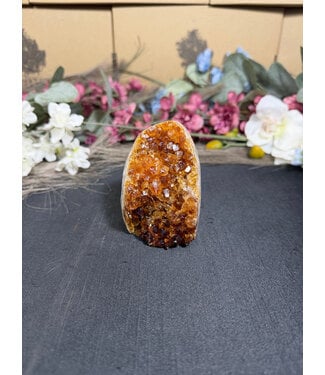 Citrine Polished Druzy Cut Base (heat treated) #40, 308gr