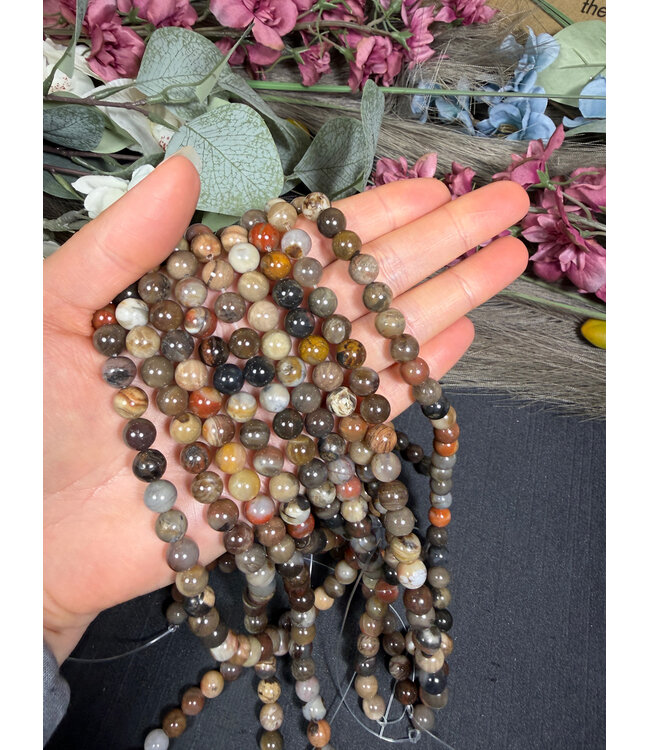 Petrified Wood Beads Polished 15" Strand 6mm 8mm