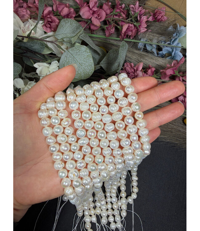 Pearl, Freshwater Beads Polished 13" Strand 6mm 8mm