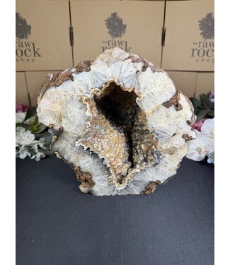 Natural Agate Geode Cut Base #26, 8672gr